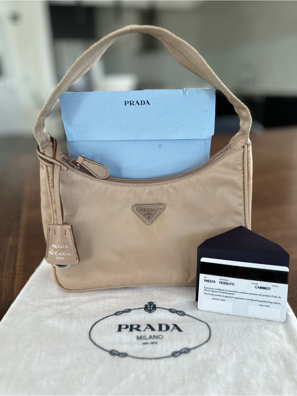 Prada Re-Edition Nylon Shoulder Bag 2005